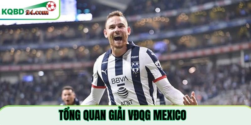 Tổng quan về giải đấu VĐQG Mexico